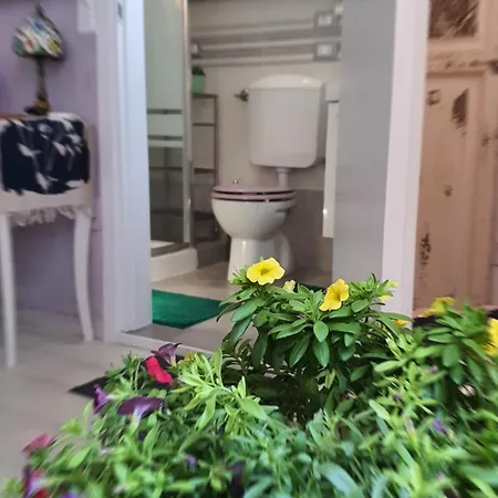 Hotel In House.. Florence