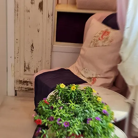 In House.. بيت ضيافة فلورنس